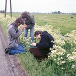 846137 Afbeelding van enkele medewerkers (biologen?) van de provincie Utrecht tijdens een veldonderzoek.N.B. De foto ...